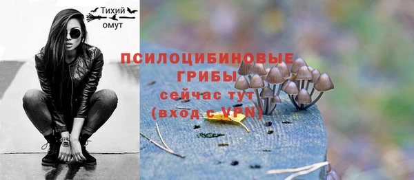 Альфа ПВП Пестово