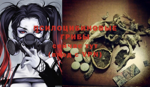 mdpv Майский