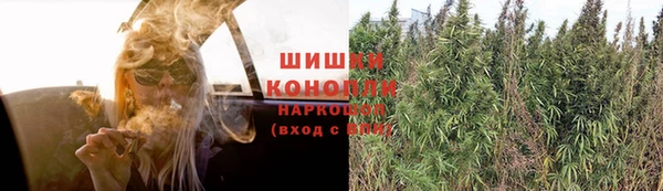Альфа ПВП Пестово